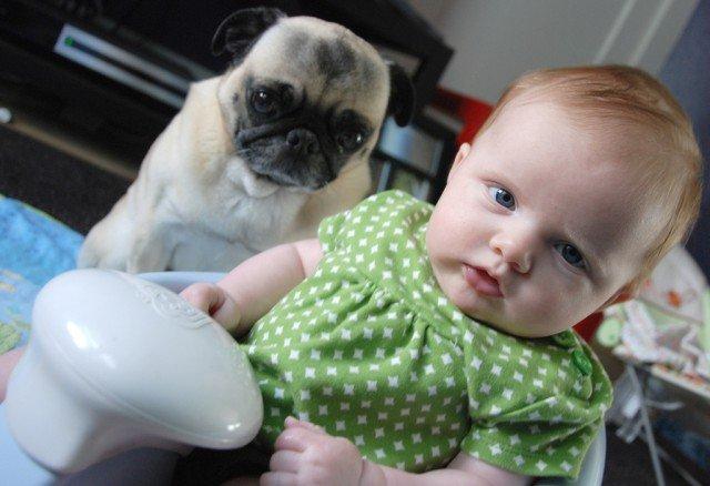 171 Kids And Their Best Pet Friends. They Don’t Look So Different