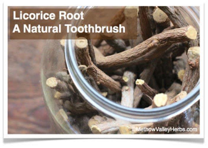 Brush your teeth with roots!