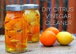 diy+citrus+vinegar