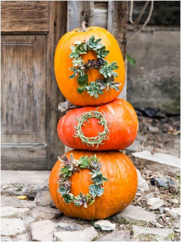 Succulent worded pumpkins