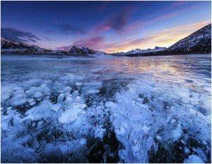 Ice bubbles at Lake Abraham in Alberta, Canada