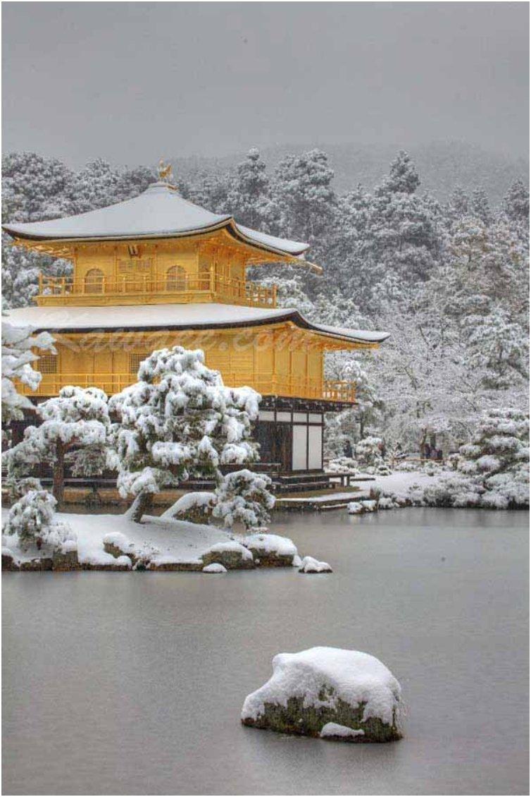 Kinkaku ji in Kyoto in winter