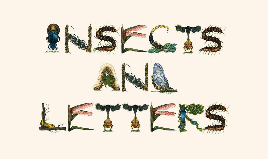 the insect and antropod alphabet perfect art for bug loving boys