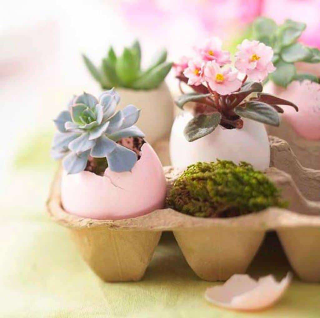 15 Bright and Colorful Spring  Decoration Ideas  for Your Home