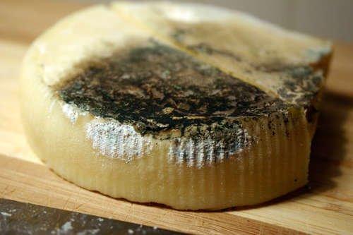 15. After slicing the cheese rub it with butter in order to prevent it from molding