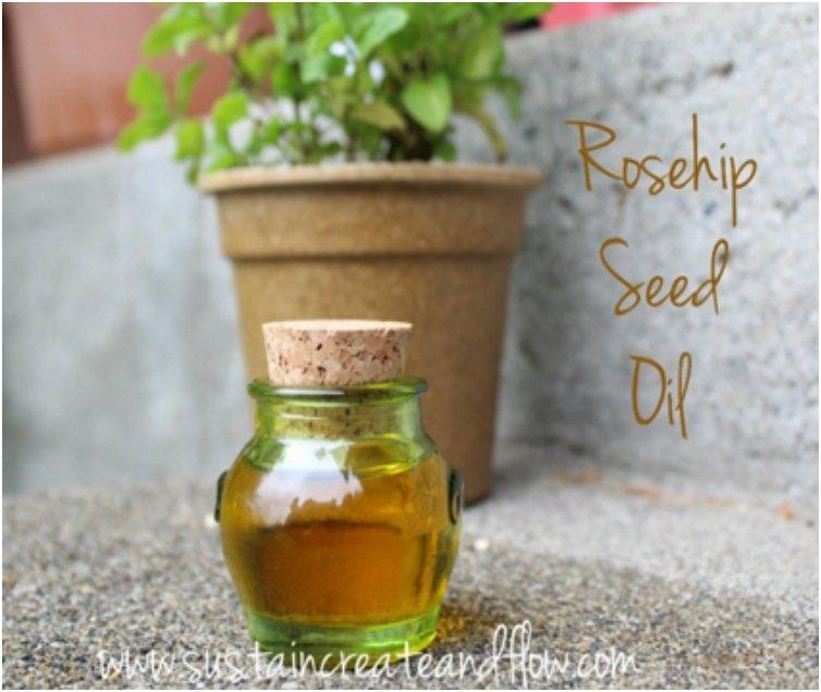 Rosehip Seed Oil Anti Wrinkle Cream