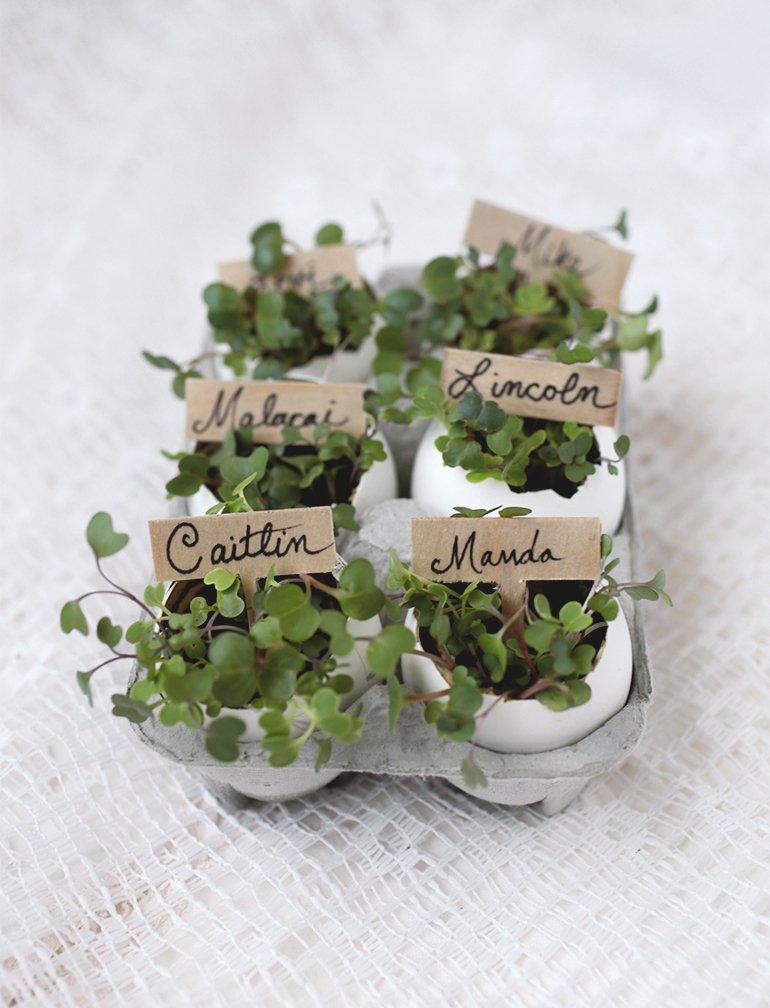 EGGSHELL PLACE CARD HOLDERS