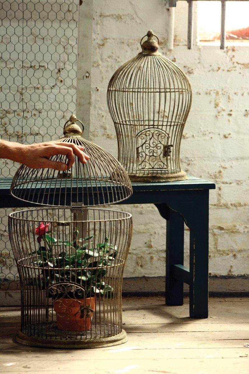 Give Your Home A Chic Decor By Reusing Your Old Bird Cage
