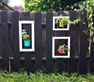 Framed Flowers On Backyard Fence