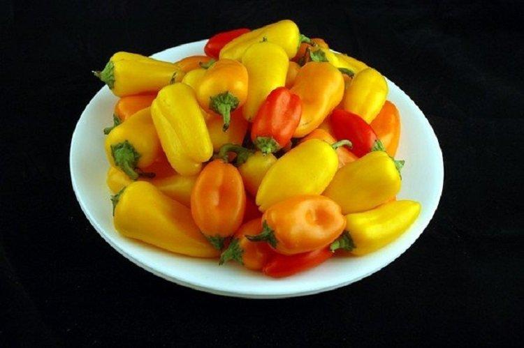 Mini Peppers – 740 grams
