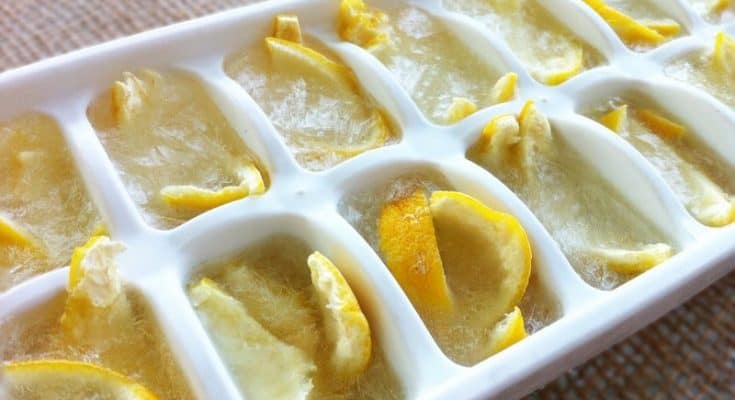 freeze-lemons