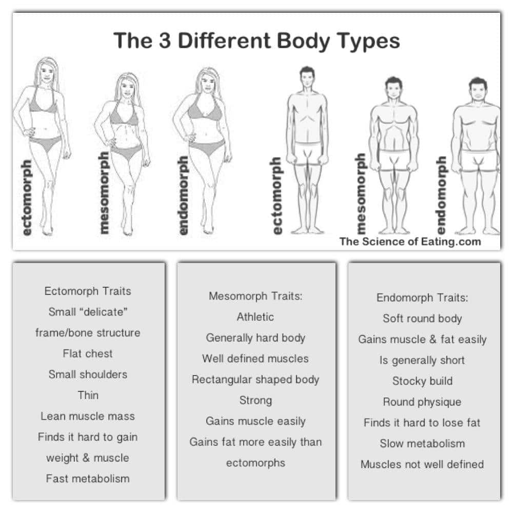 How to Understand Your Body to Plan Your Diet & Training making protein diagram 