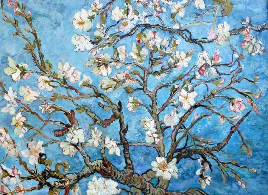 Van Gogh Paintings 12 Of Vincent Van Gogh S Famous Paintings   Almond Blossoms Tom Roderick 