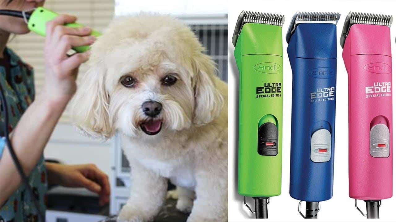 What are the best Dog Grooming Clippers?