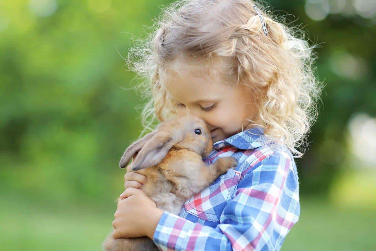 The Best First Pet for Your Family: What You Need to Know