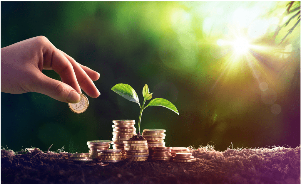 Building Wealth money growth