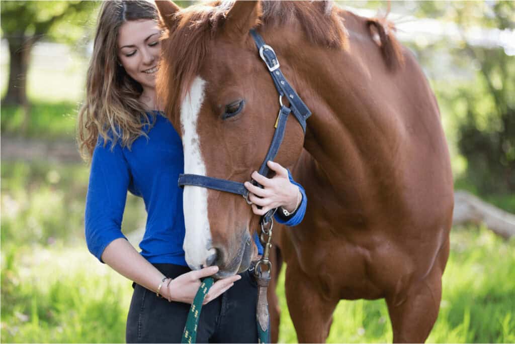 Horse