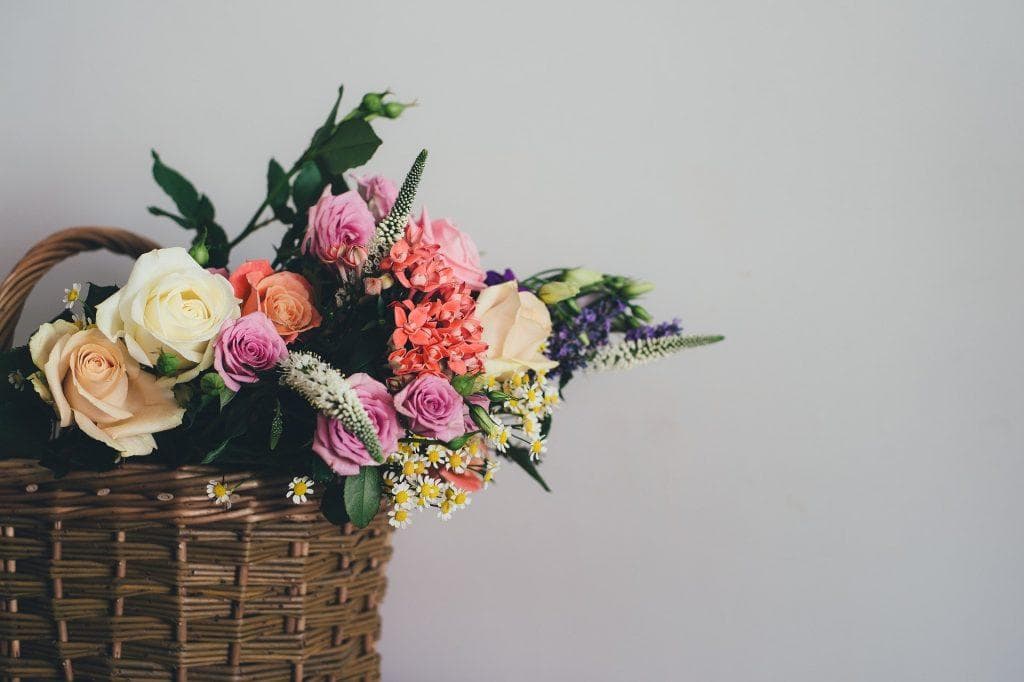 a dozen roses