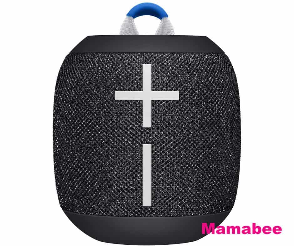shower speaker