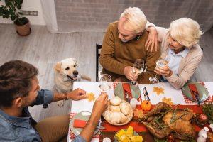 Find The Right Food For Your Dog