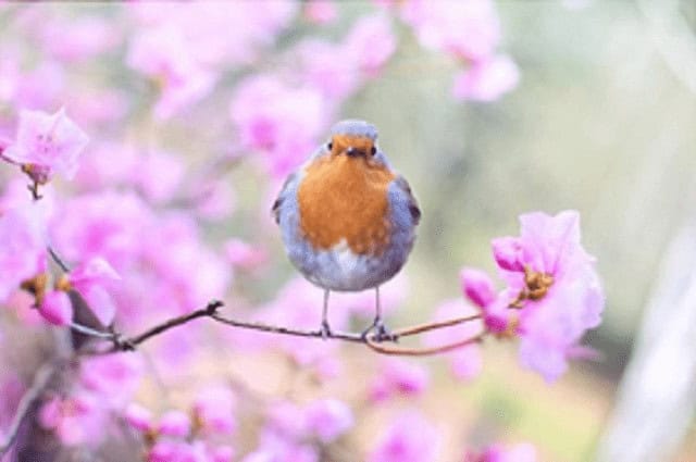 Cost-Effective Springtime Heating Solutions