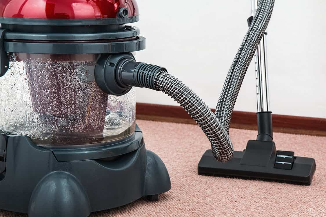 All You Need to Know about Hiring a Pro for Carpet Cleaning