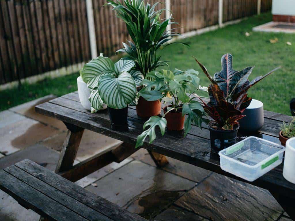8 Lawn Care Tips for Maintaining Your Yard in the Winter