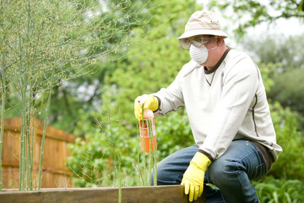 4 Important Reasons to Use Pest Control Services in the Winter