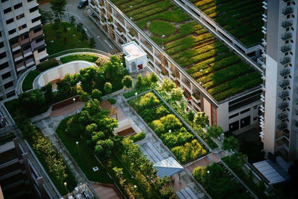 roof garden
