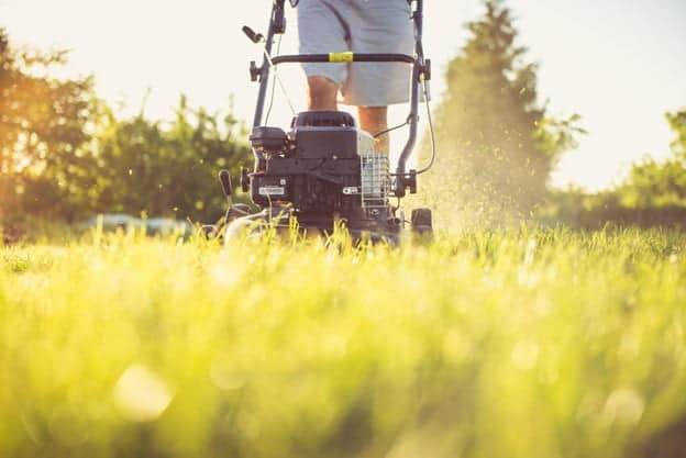 5 Helpful Lawn Maintenance Tips for Early Summer