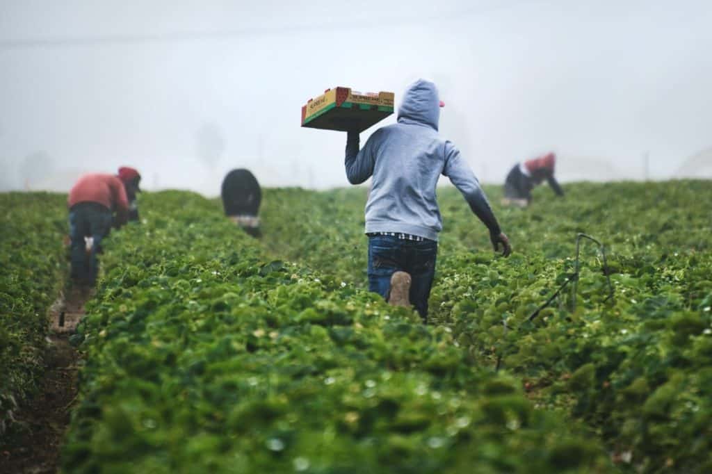 6 Benefits Of Sustainable Farming Practices