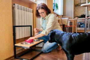 House Cleaning Tips For Pet Owners