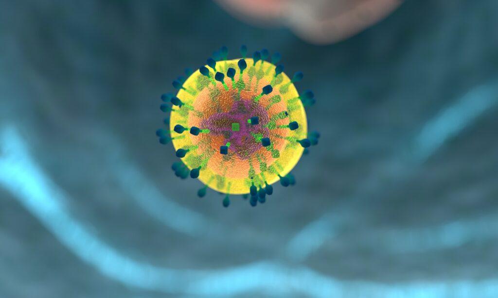 How Can I Improve My Immune System