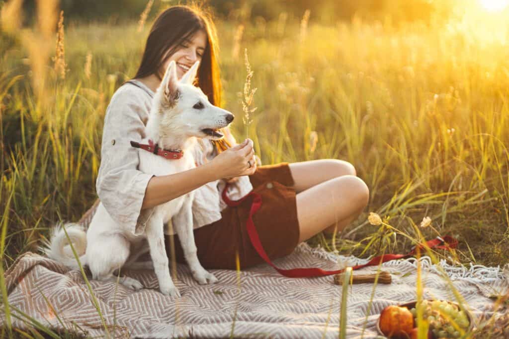 Enjoy Fun Experiences With Your Dog On National Pet Day Off