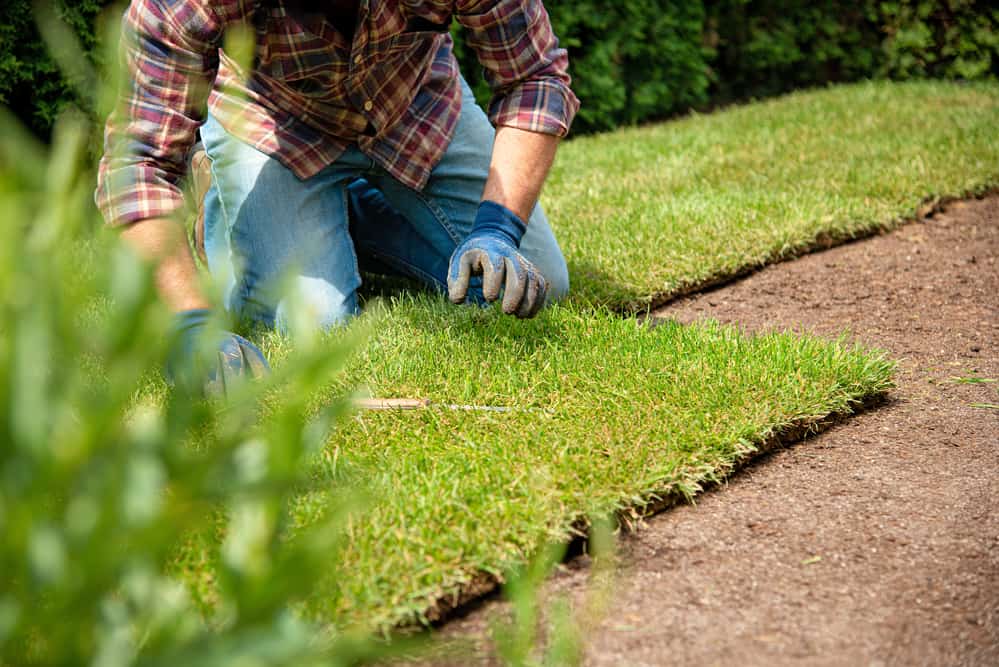 The Complete Guide To Sod Benefits, Installation, And Maintenance Tips