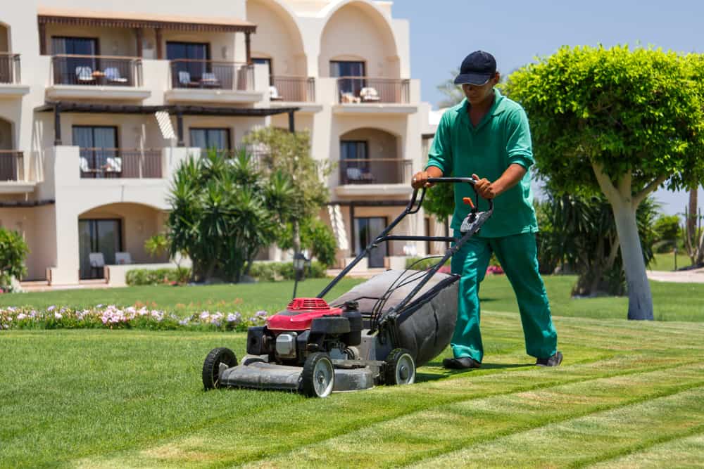 Revitalize Your Landscape A Comprehensive Guide To Expert Lawn Treatment