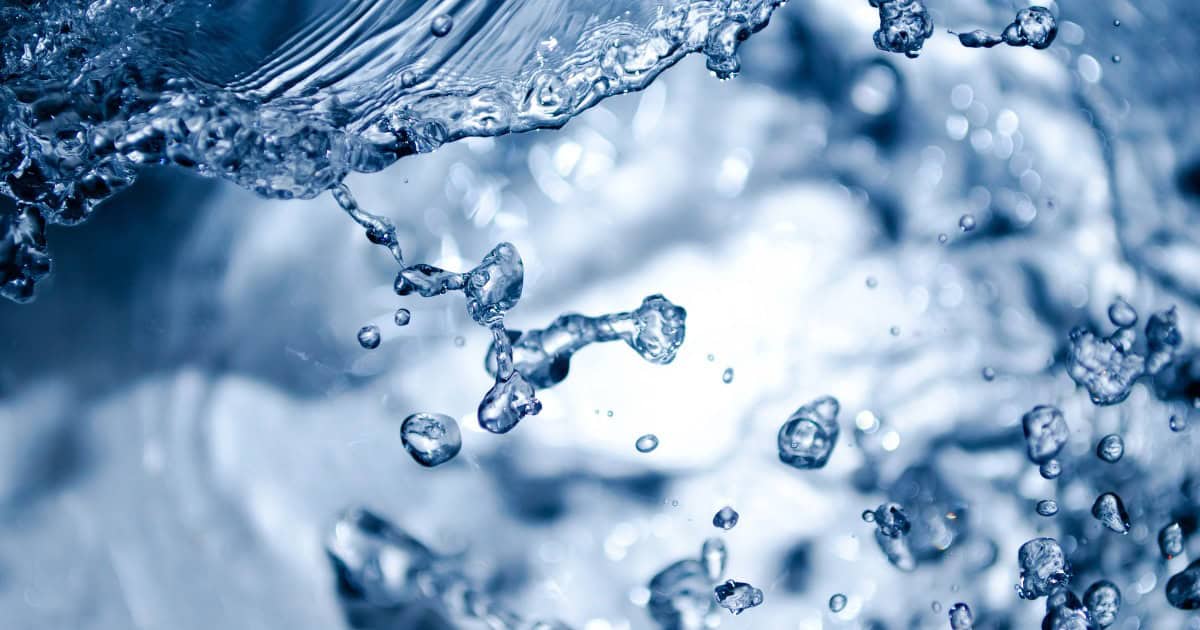 Why Psyllium Husk & Hydration are the Ultimate Power Couple