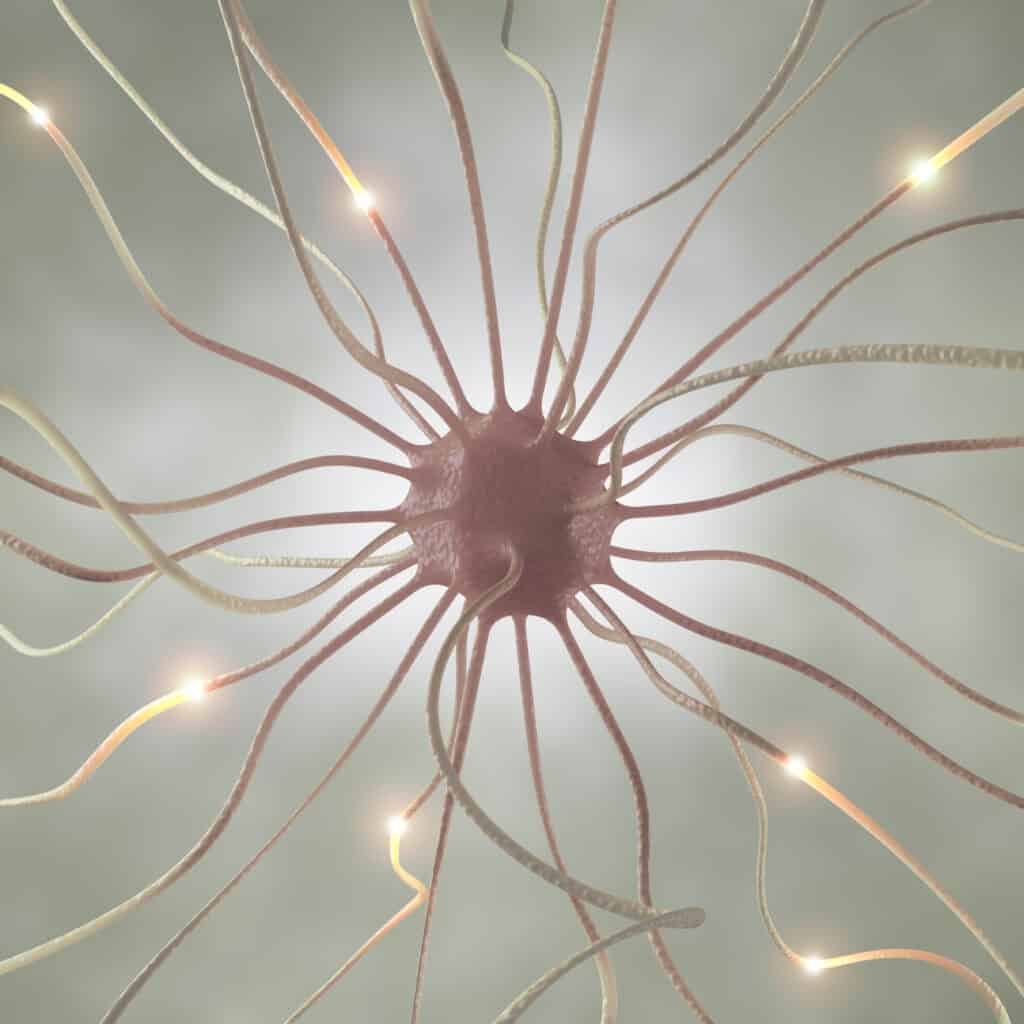 6 Proven Ways to Rewire Your Brain | Neuroplasticity Guide