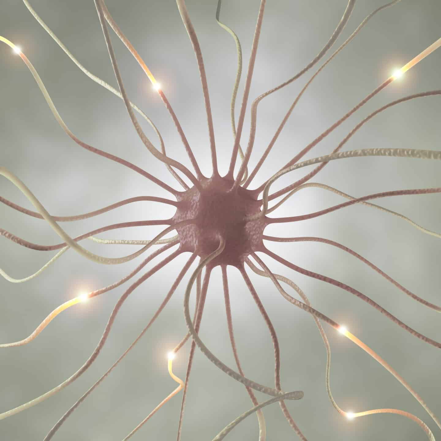 Nerve Cell Pulse | Mamabee 6 Proven Ways to Rewire Your Brain | Neuroplasticity Guide