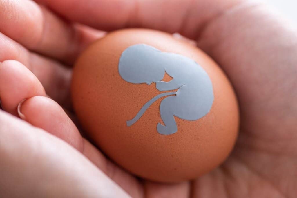 3 Top US Egg Donation Agencies