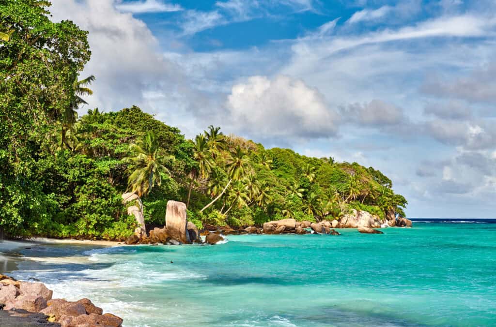 Explore the Wild Side: Nature Trails, Snorkelling & Island Hopping in Seychelles