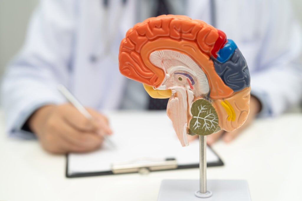 How to Protect Your Brain: What to Do Right Now to Prevent Dementia and Alzheimer’s