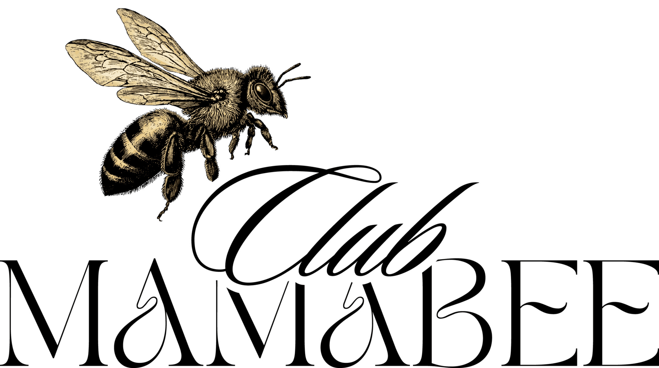 Vintage gold bee illustration hovering above elegant cursive text on a black background, forming a logo-like image